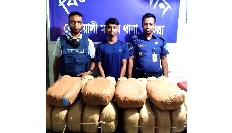 কুমিল্লায় ৫০ কেজি গাঁজাসহ ১ মাদক ব্যবসায়ী গ্রেফতার